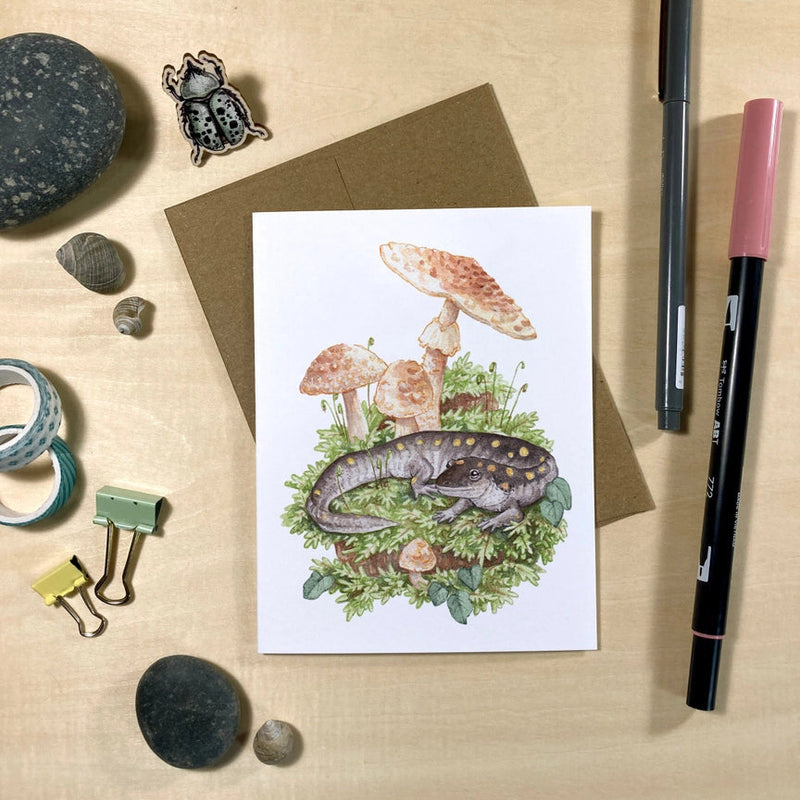 Amphibians & Fungi Recycled Notecards - Set of 6