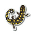 Spotted Salamander Nature Nature Sticker