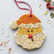 Santa Christmas Cookie - Bird Seed Ornament