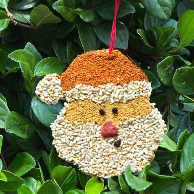 Santa Christmas Cookie