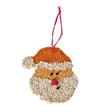 Santa Christmas Cookie