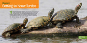 Saving Turtles: A Kids' Guide to Helping Endangered Creatures sample page