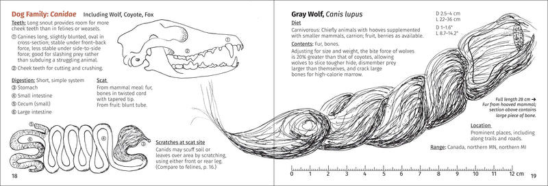 Scat Finder - A Guide to Mammal Scat of Eastern North America