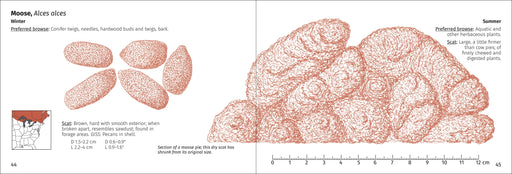 Scat Finder - A Guide to Mammal Scat of Eastern North America - moose scat