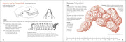 Scat Finder - A Guide to Mammal Scat of Eastern North America - raccoon scat