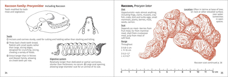 Scat Finder - A Guide to Mammal Scat of Eastern North America - raccoon scat