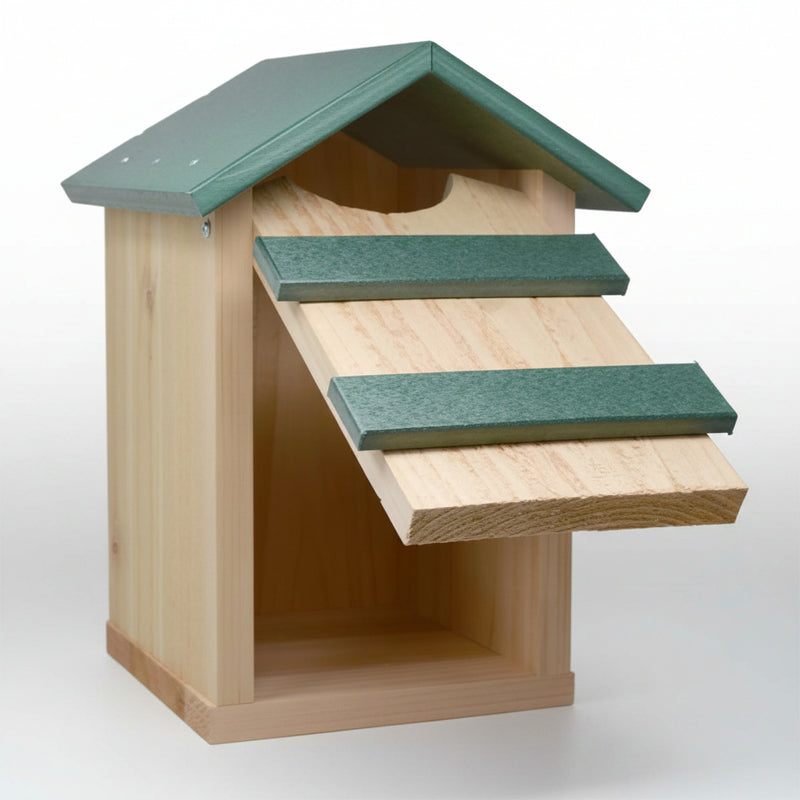 Screech Owl House