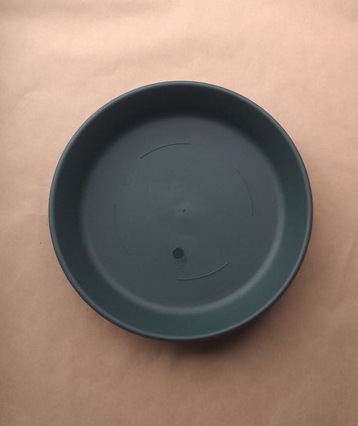 Replacement Dishes : Erva Catalog