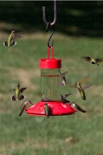 Hummingbird Feeder Station Bundle