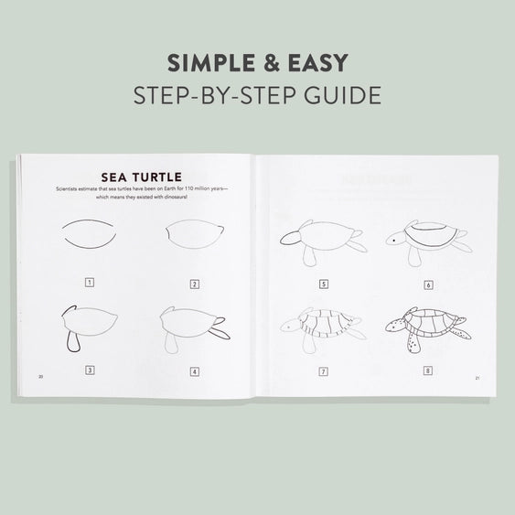 illustrated instructions on how to draw a sea turtle