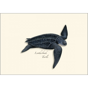 Sea Turtle Assortment Notecard Boxed Set of 8
Leatherback Turtle