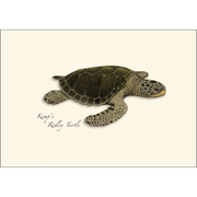 Sea Turtle Assortment Notecard Boxed Set of 8
Kemp's Ridley Turtle