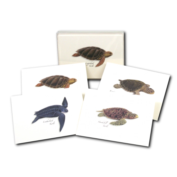Sea Turtle Assortment Notecard Boxed Set of 8