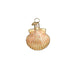 Sea Shell Christmas Ornament Set