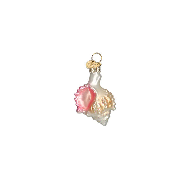 Sea Shell Christmas Ornament Set