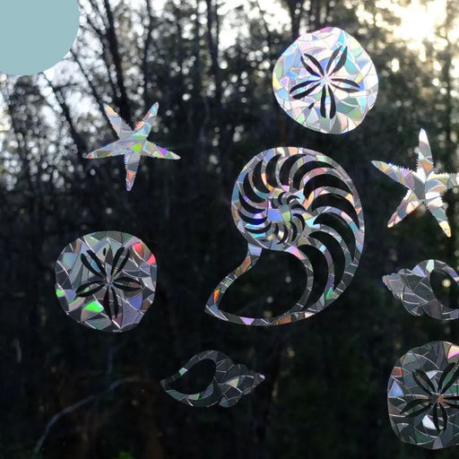 Seashell Window Cling