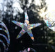 Seashell Window Cling - star fish
