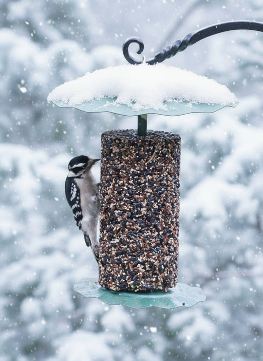 Christmas Cardinal Delight Bundle - in use