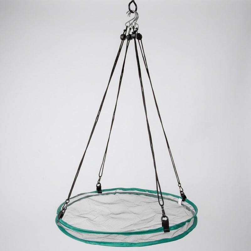 Seed Hoop
