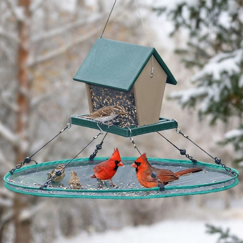 Seed Hoop
