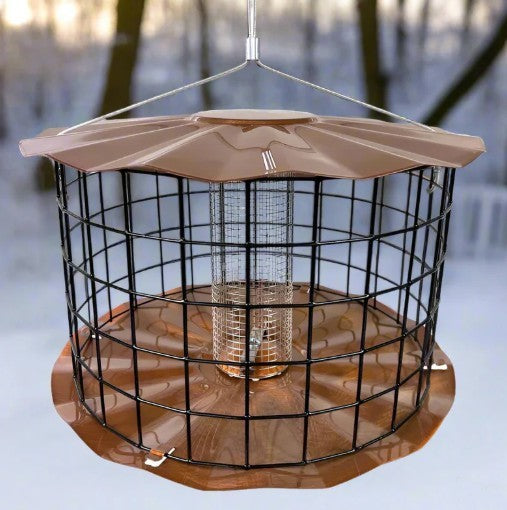 Barrier Guard Peanut and Sunflower Feeder