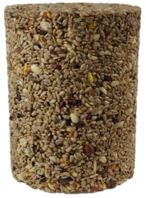 Seed Cylinder Variety Pack - Large - 4 Piece - Shell Free