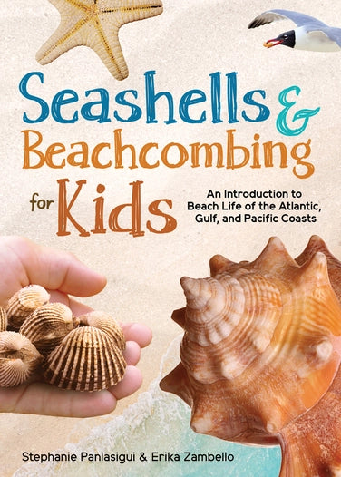 Book cover of 'Seashells & Beachcombing for Kids' with shells and a hand holding shells on a beach background.