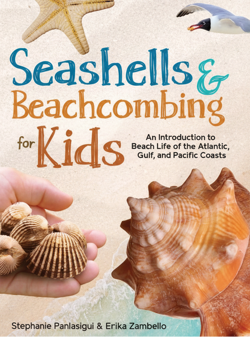 Book cover of 'Seashells & Beachcombing for Kids' with shells and a hand holding shells on a beach background.