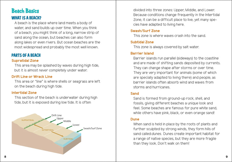 Educational page about beach basics with text and diagram on a white background