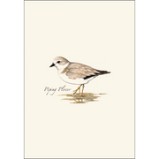 Shorebird Assortment Notecard Boxed Set of 8
piping plover