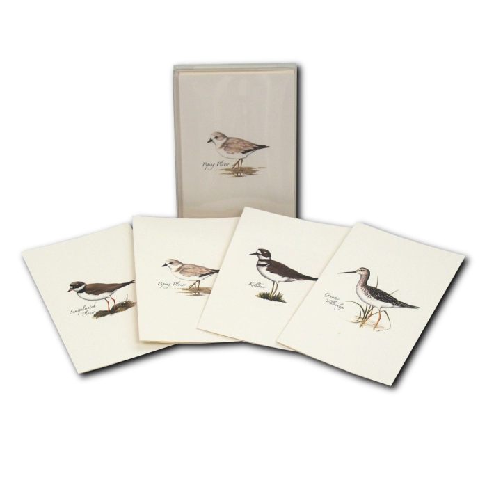 Shorebird Assortment Notecard Boxed Set of 8