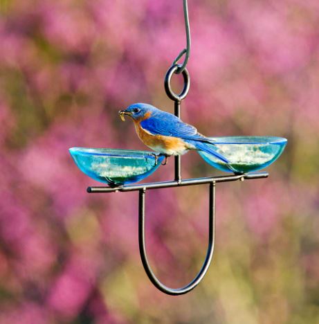 Mosaic Birds Side By Side Poppy Feeder with bluebird