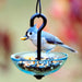 Single Hanging Poppy Feeder-Clear in use