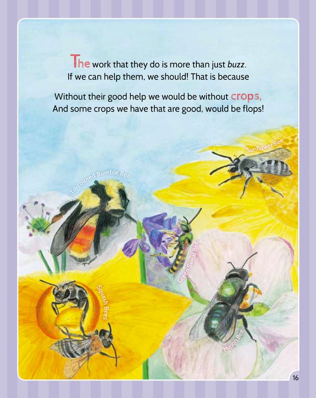 Sip, Pick, and Pack: How Pollinators Help Plants Make Seeds Book
sample page