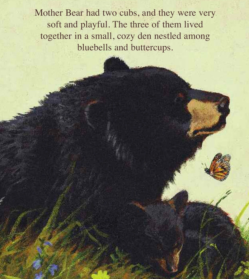 The Legend of Sleeping Bear - A Picture Book
sample pages