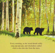 The Legend of Sleeping Bear - A Picture Book
sample pages