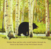 The Legend of Sleeping Bear - A Picture Book
sample pages