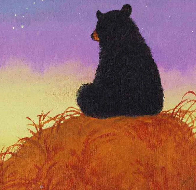 The Legend of Sleeping Bear - A Picture Book
sample pages