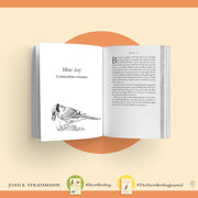 The Slow Birding Journal
information about blue jays