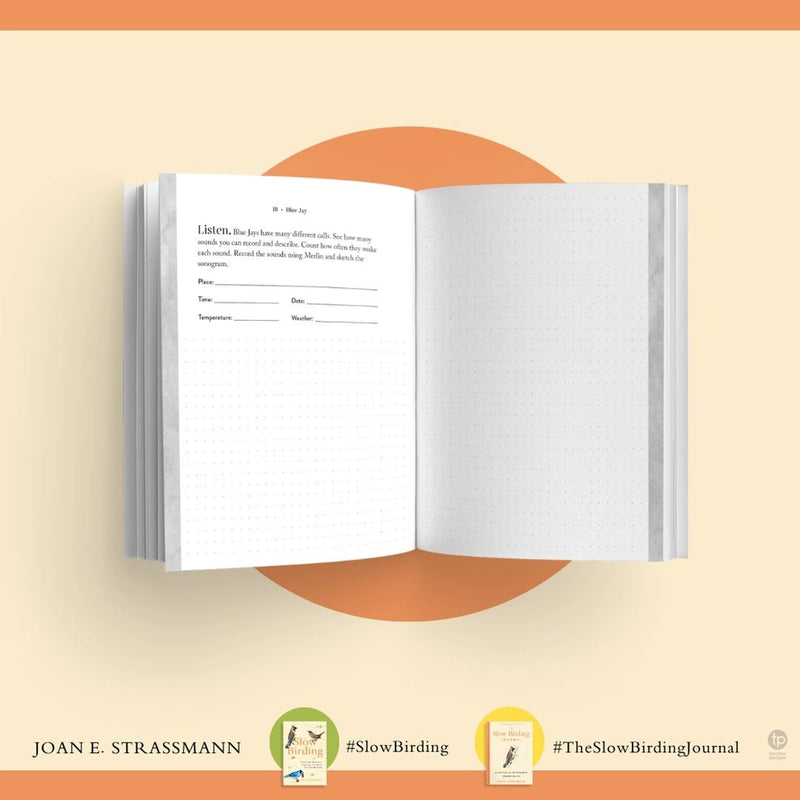 The Slow Birding Journal
blue jay observation pages