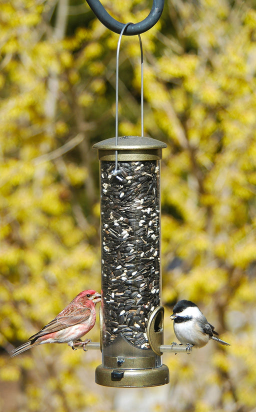 Quick-Clean Seed Tube Feeder - Small