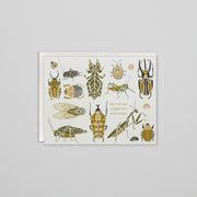 Small Wonders Card
