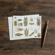 Small Wonders Card 