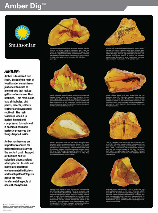 Smithsonian Amber Dig
text about Amber and pictures of the different creatures in this kit. 