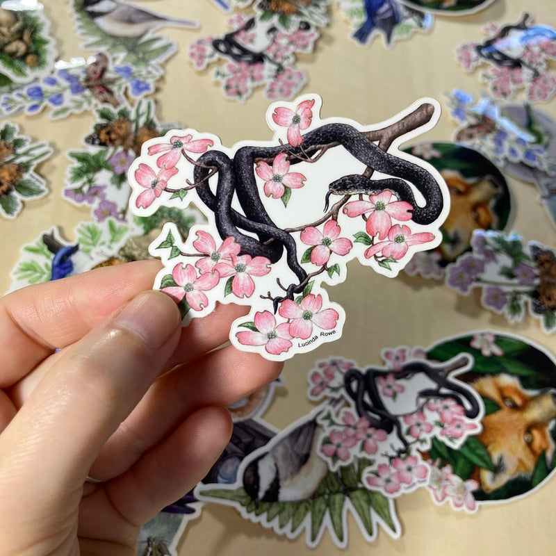 Vinyl Sticker - Black Rat Snake On Dogwood