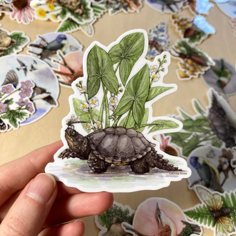 Vinyl Sticker - Snapping Turtle with Common Arrowhead and Dragonfly