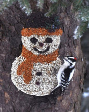 Frosty Snowman Seed Cake in use