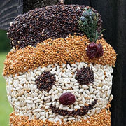 Frosty Snowman Seed Cake close up of face