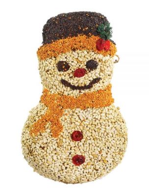 Frosty Snowman Seed Cake