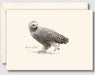 Snowy Owl Greeting Card Set